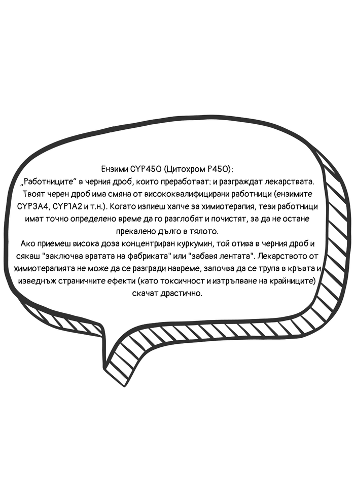 Обяснение на ензимите CYP450